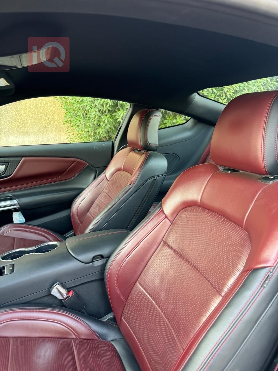 فۆرد مۆستانگ